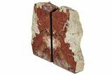 Tall, Arizona Petrified Wood Bookends #202306-1